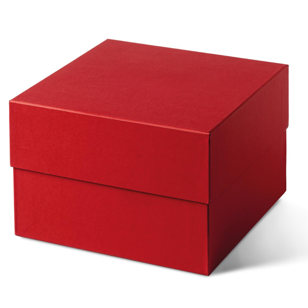 Colomba Artigianale al Cremino con Glassa Fondente e scaglie di cioccolato Bianco 72 ore di lavorazione "Satri" in scatola 1 kg