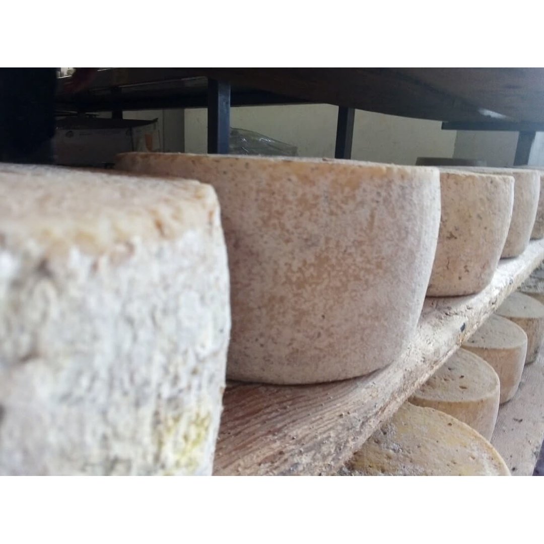 Pecorino Toscano DOP Matteassi 250g