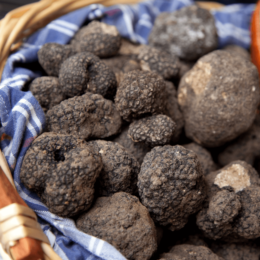 Fresh truffles online sale | Collected and shipped within 24 hours | S ...