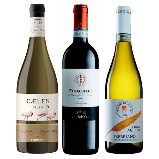 Cesto di Natale vini Bio "Gentile" - 3 bottiglie bianchi e rosso