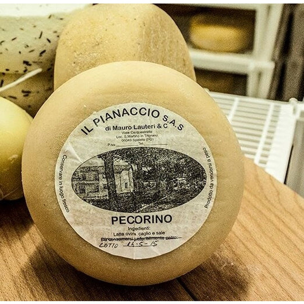 Artisan Umbrian Pecorino with Raw Milk