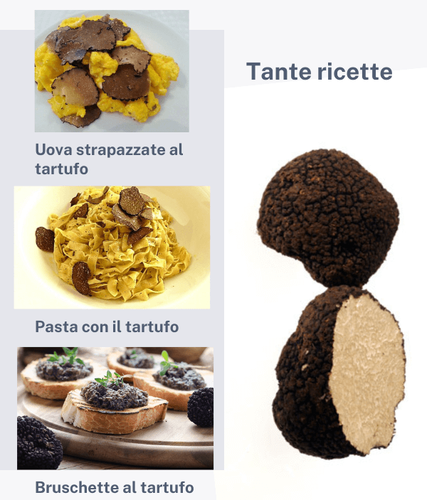 Tartufo Nero Estivo Scorzone fresco raccolto in giornata - Tuber aestivum Vitt.