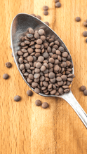 Load image into Gallery viewer, Lentils in bag&quot;I Gelsi&quot;

